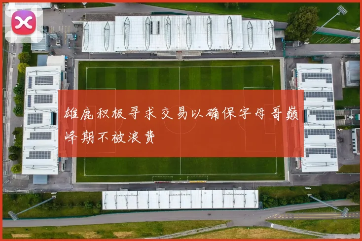 雄鹿积极寻求交易以确保字母哥巅峰期不被浪费