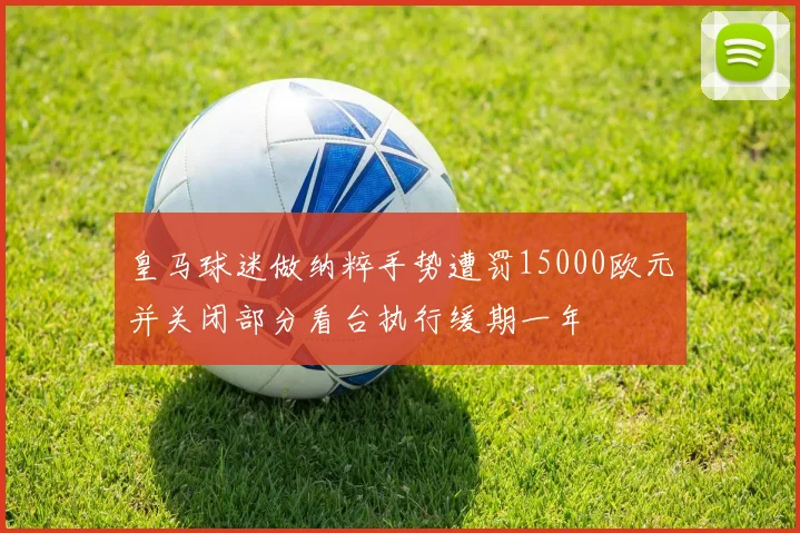 皇马球迷做纳粹手势遭罚15000欧元并关闭部分看台执行缓期一年