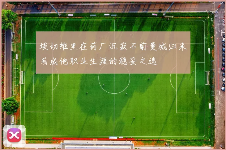 埃切维里在药厂沉寂不前曼城归来或成他职业生涯的稳妥之选